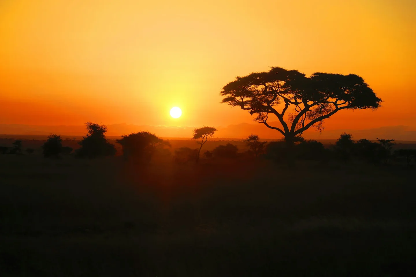 Hunting in Atakora: Laws, Legislation and Сlubs. A Thrilling Adventure in West Africa’s Hidden Wilderness (PART 1)