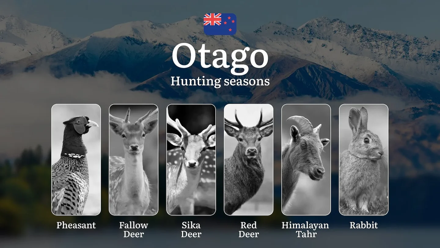Time of hunting, Equipment and Tactics in New Zealand: OTAGO Region – Seasons, Licences and Rules