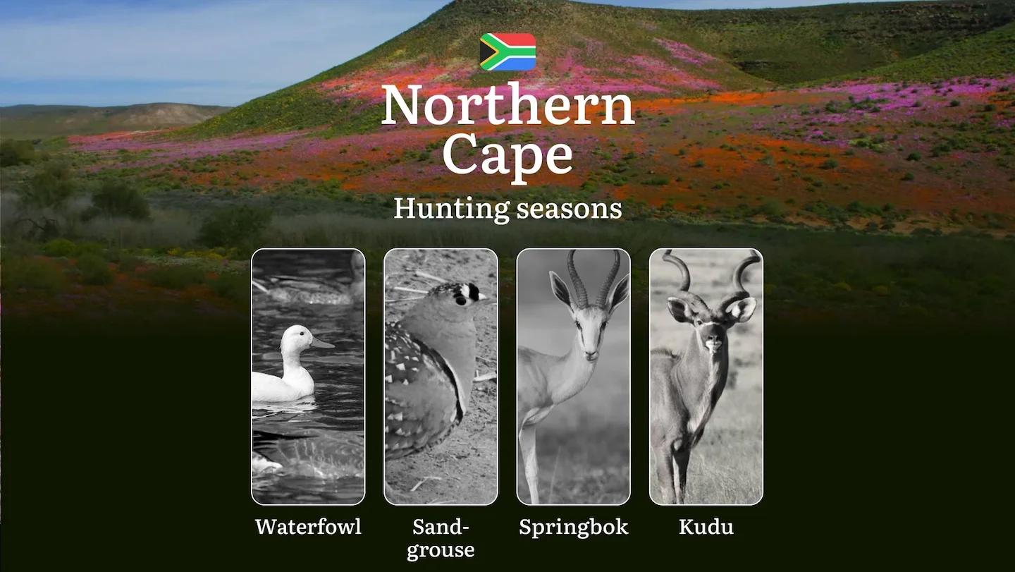 Hunting Dates in South Africa’s Northern Cape: Hunting Periods, Openings and Closings, Licenses, Rules, and Times for Hu…