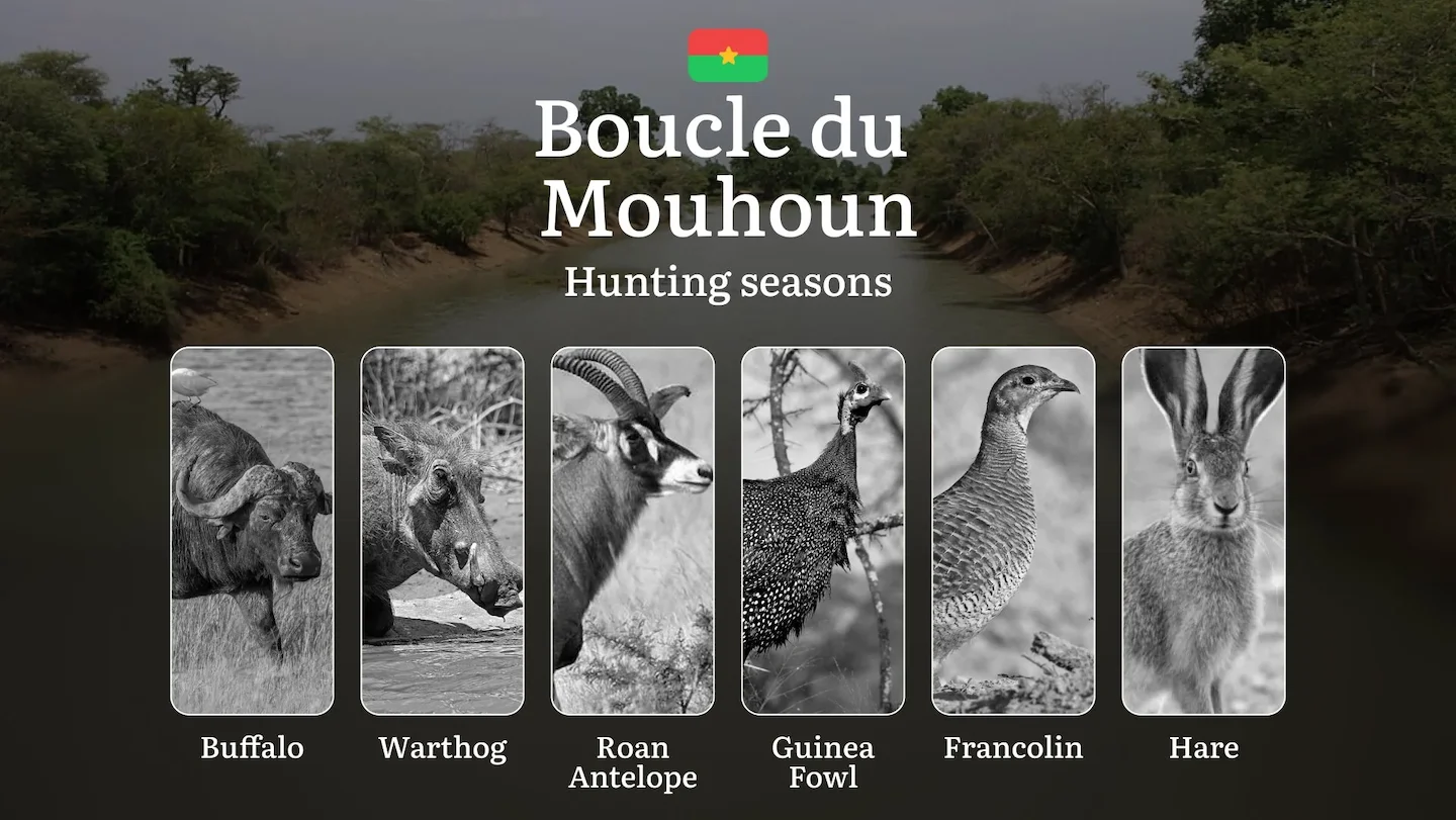 Hunting Seasons in BOUCLE DU MOUHOUN: Key Hunting Periods, Restrictions and Protected Species, General Hunting Rules, Re…