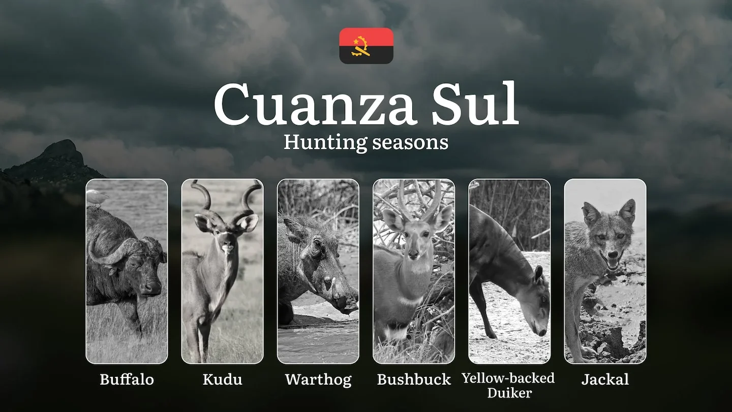 Hunting Through the Seasons in Cuanza Sul: Rules, Permits & Cultural Events and Traditions