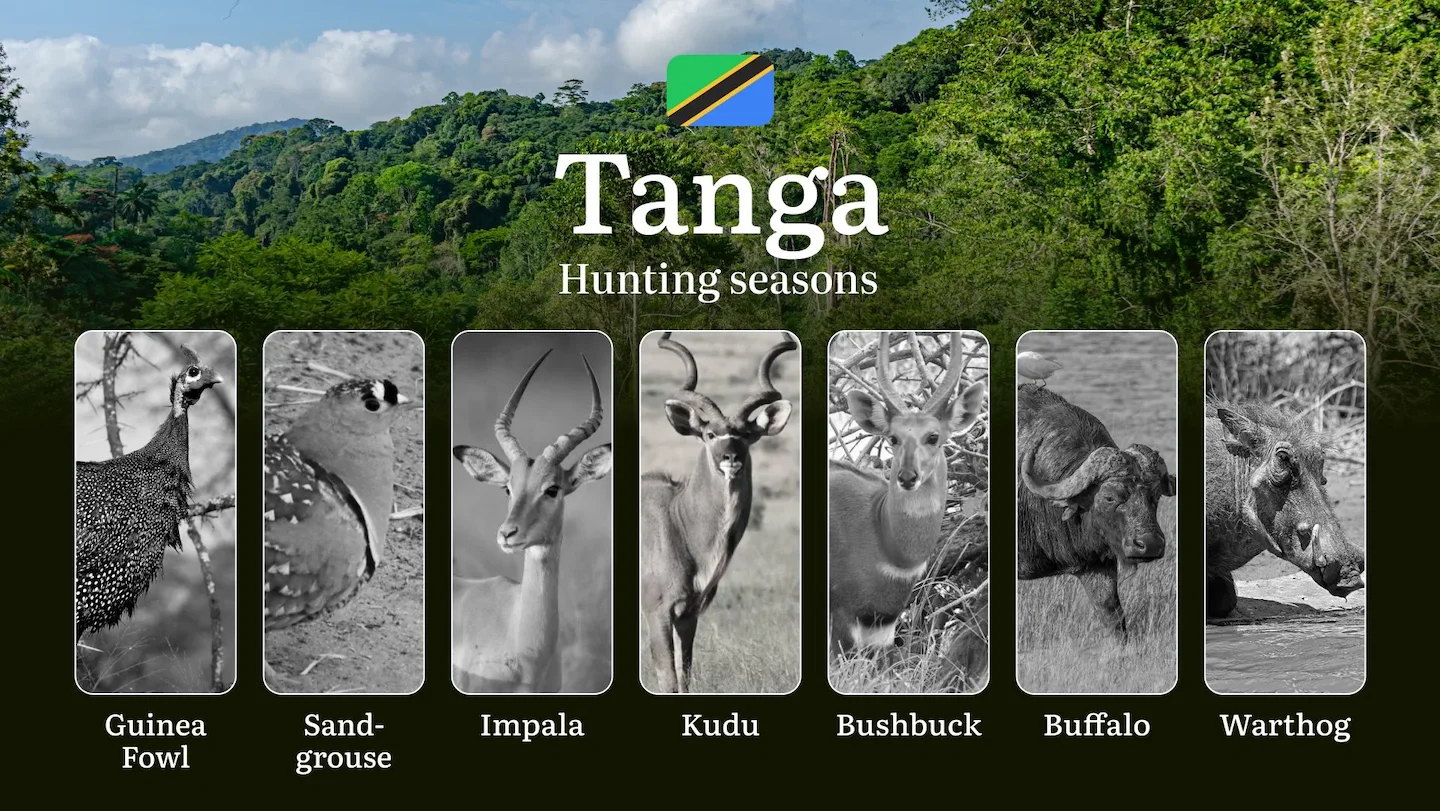 Hunting Date Ranges in Tanga: Species Available Throughout the Year, Seasonal Game Patterns, and Steps to Acquire an Off…