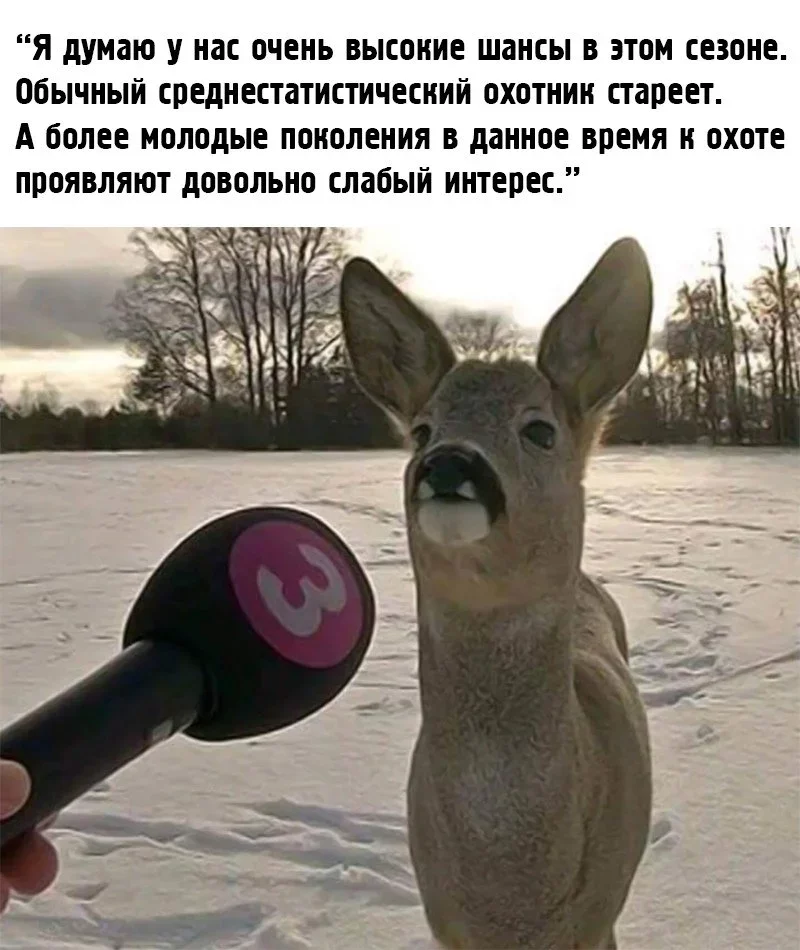 Охота дикая добавил(-а) 1 фото