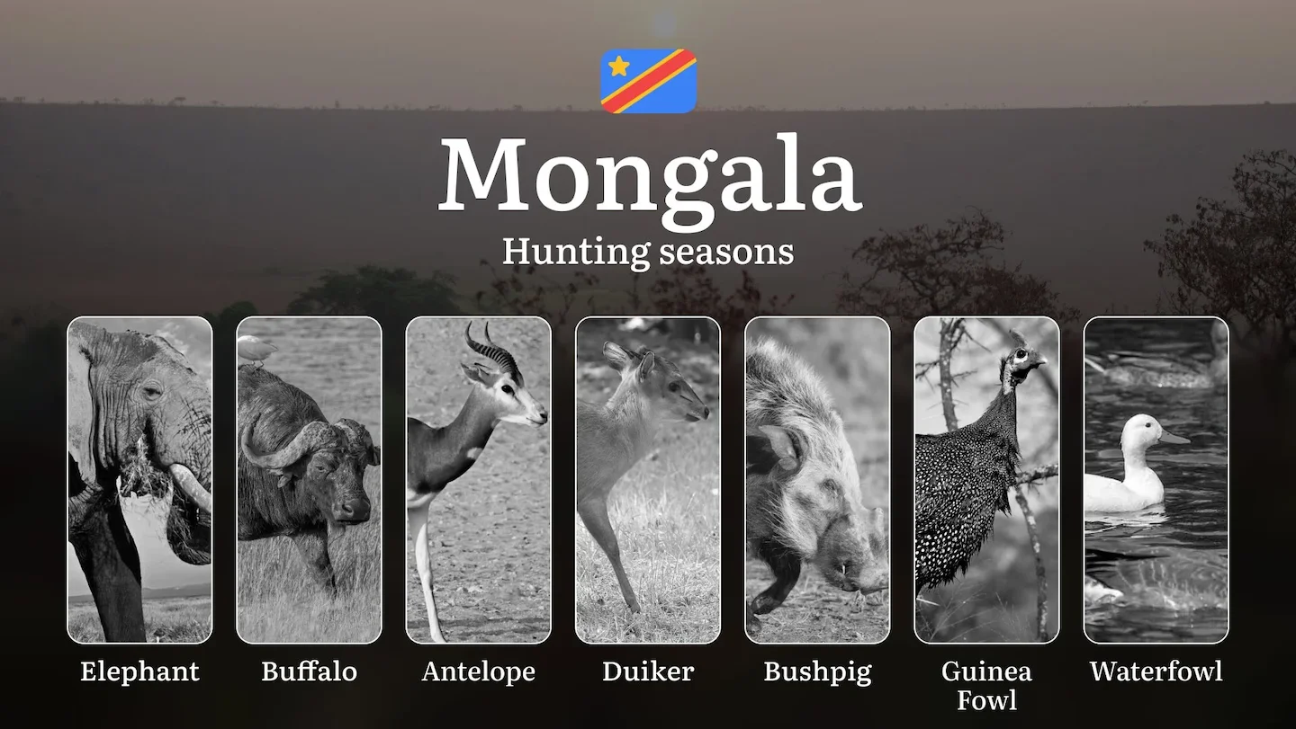Hunting Date Ranges in Mongala (DRC): Main Seasons by Species, No-Hunt Zones, Regulations and Special Cases, License Pro…
