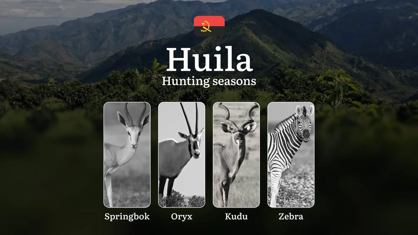 Hunting Seasons of Huíla: Exploring General Hunting Rules, Legislation and Permits, Hunter Events and Cultural Experienc…