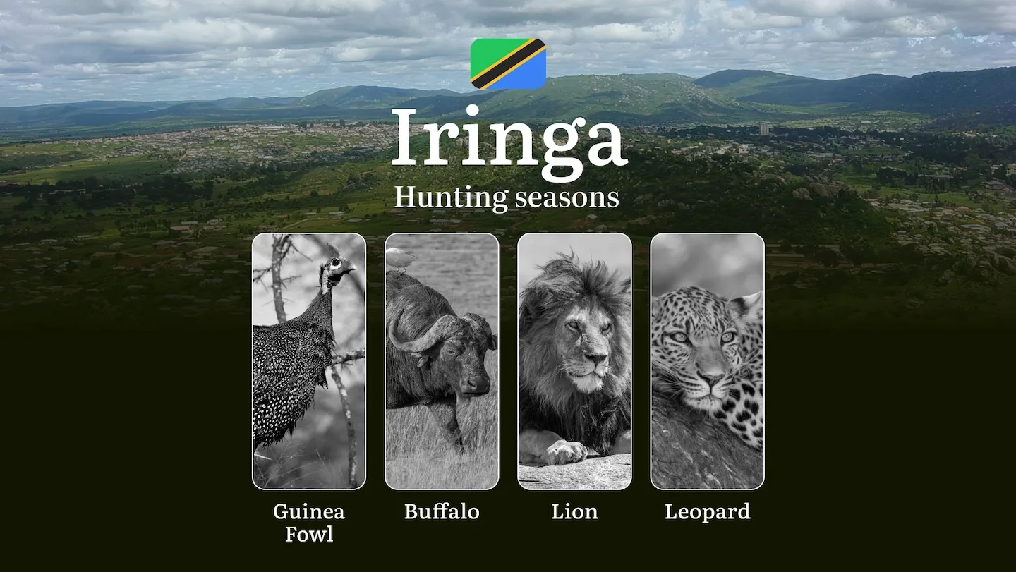 Hunting Date Ranges in Iringa: Species Available Throughout the Year, Seasonal Game Patterns, and Steps to Acquire an Of…