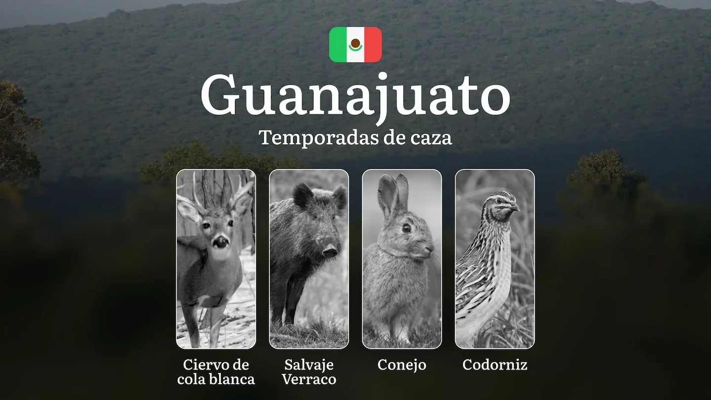 Temporadas y períodos de Caza en Guanajuato: Patrones Estacionales y Actividad Cinegética, Requisitos para la Obtención…