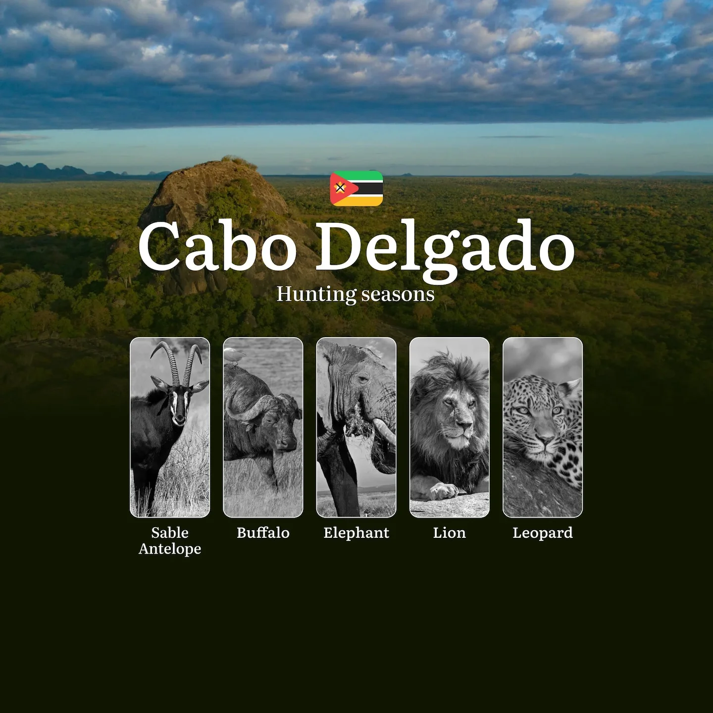 When the Dry Winds Blow: Hunting Seasons, Regulations and Prime Times in Mozambique's Cabo Delgado Province