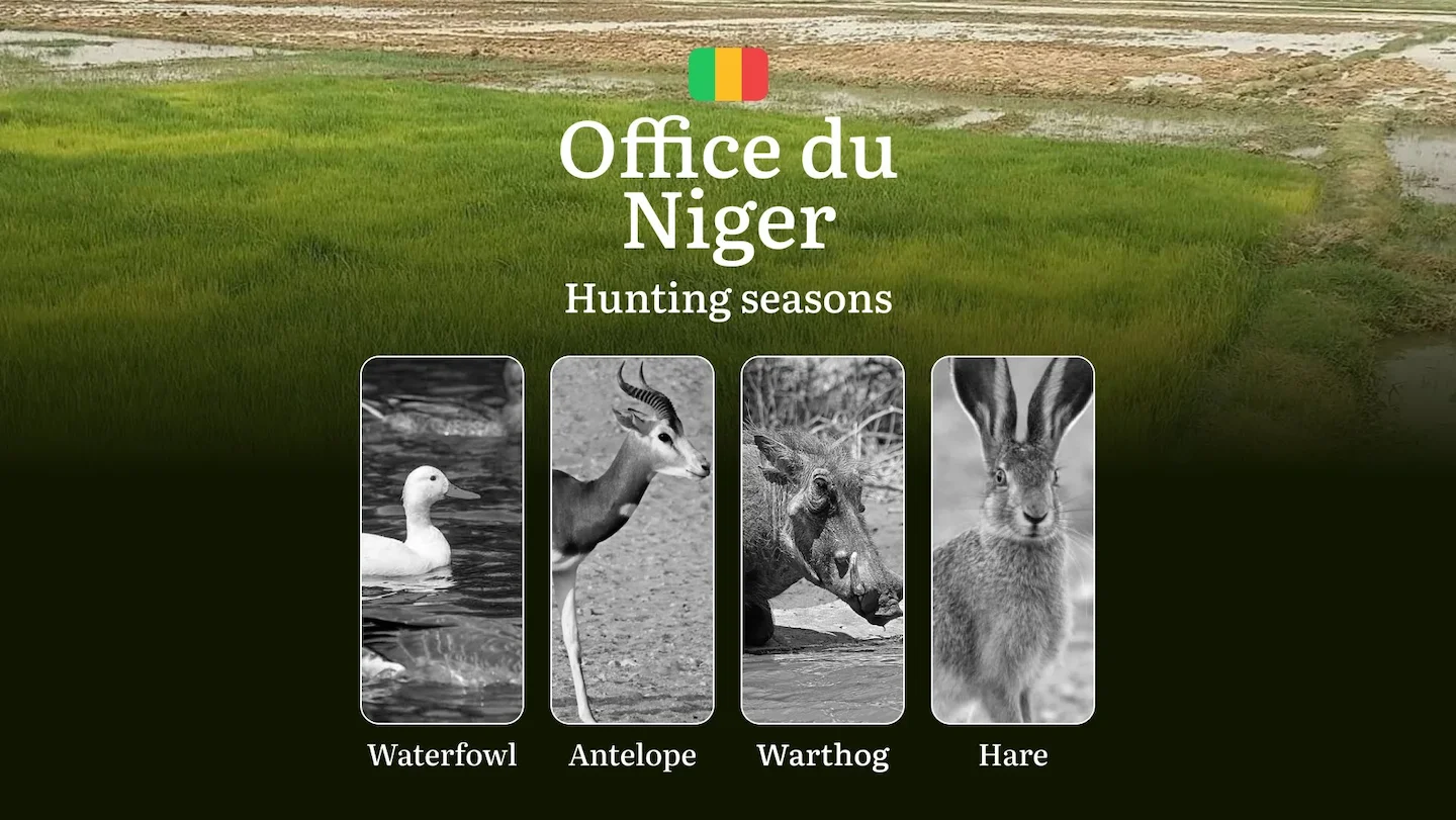 Hunting Periods in Office du Niger: Peak Hunting Periods for Large and Small Game, What’s Off Limits, Rules and Exceptio…