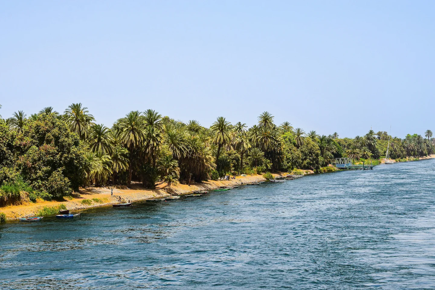 Hunting in the Dakar Department of Senegal: game, laws, legislation, hunting seasons
