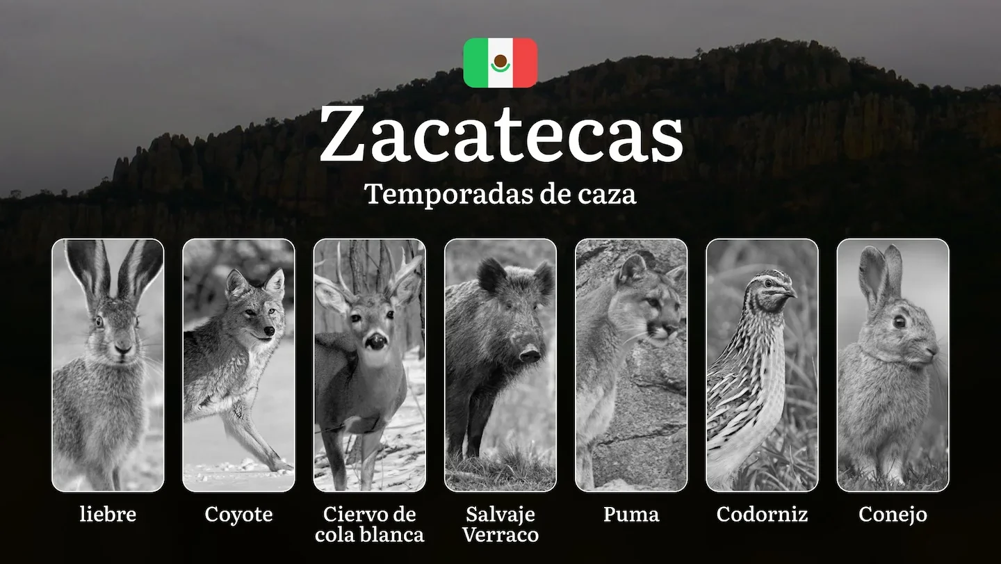 Temporadas y períodos de caza en Zacatecas: Calendario, Regulaciones y Épocas para la Caza Mayor y Menor