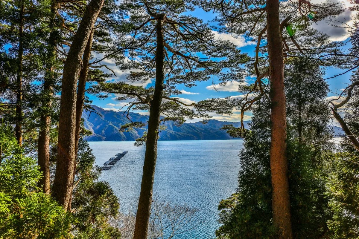 地理的・自然的特徴