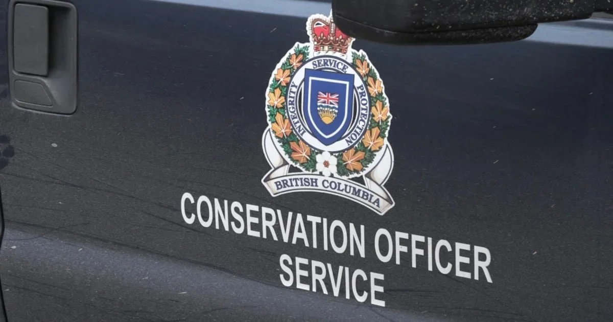 B.C.Man Receives $50K Fine and 10-Year Hunting Ban