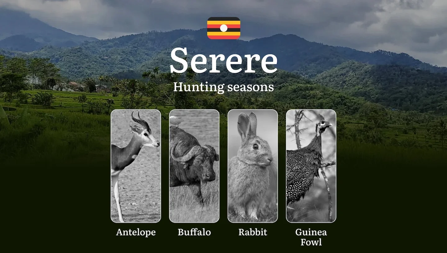Serere: Hunting Activity Periods, Protected Species and Seasonal Restrictions, Obtaining a License, Penalties That Affec…