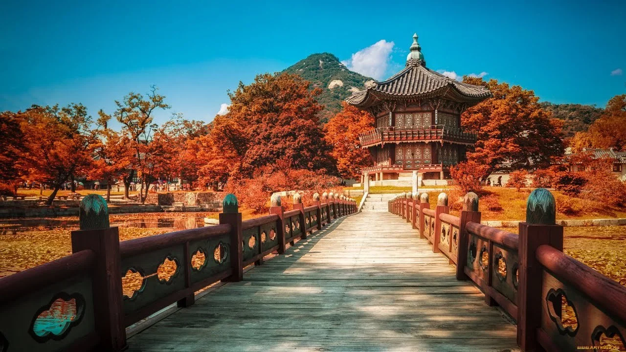 인제군 사슴 사냥
