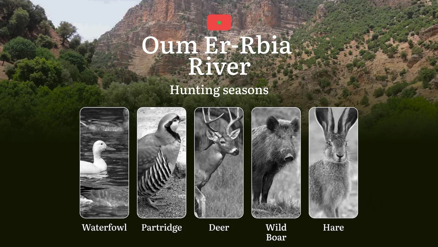 Hunting Dates in Oum Er-Rbia River: Seasonality of Hunting, Timing and Regulations, Hunting Permits, Restrictions and Pr…