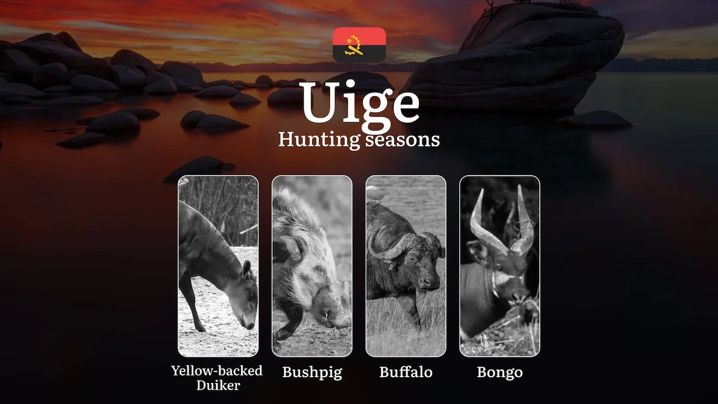 Hunting Through the Seasons in Uíge: Rules, Permits & Cultural Events and Traditions
