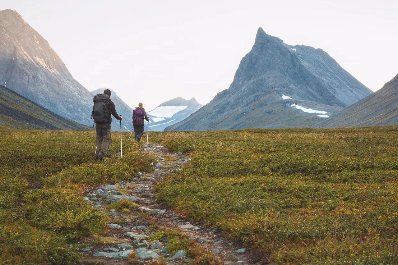 Swedish Hunting Law Overhaul: Major "Wildlife Management Act" Proposal Presented