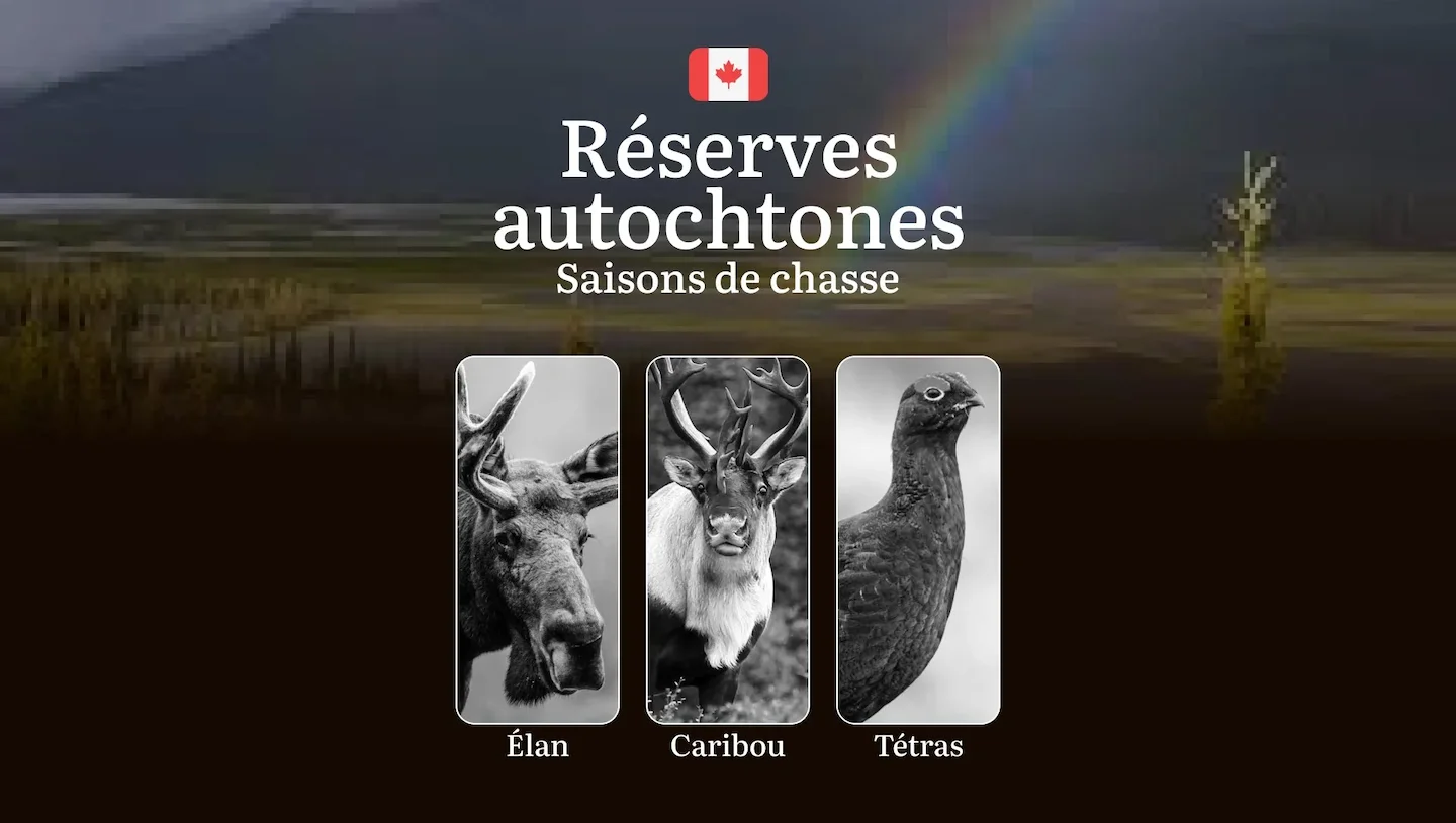 Les Saisons de Chasse dans les RÉSERVES AUTOCHTONES: Dates d'Ouverture/Fermeture, Obtention des Permis, Règlements Spéci…