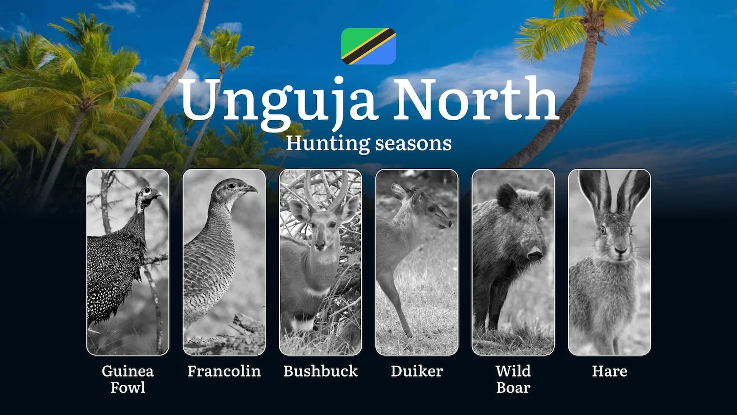 Unguja North: Hunting Timeframes, Species and Seasonal Bans, Participating in the Hunt, Getting Licensed, Penalties That…