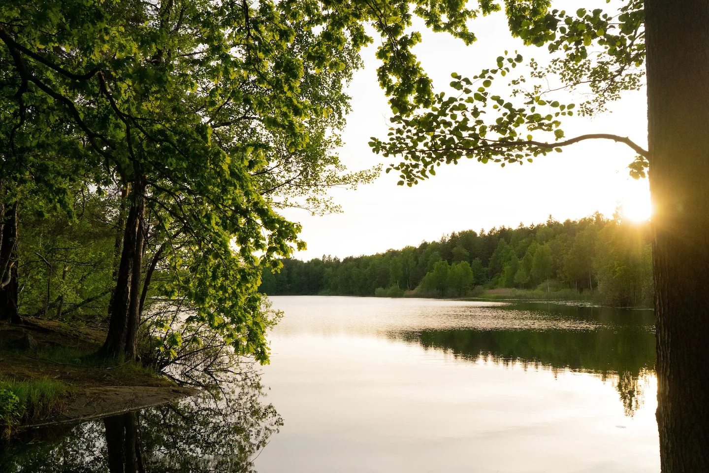 Hunting in Tiveden National Park, Sweden: A Guide for Hunters on Species, Seasons, and Expert Tips for a Successful Hunt…