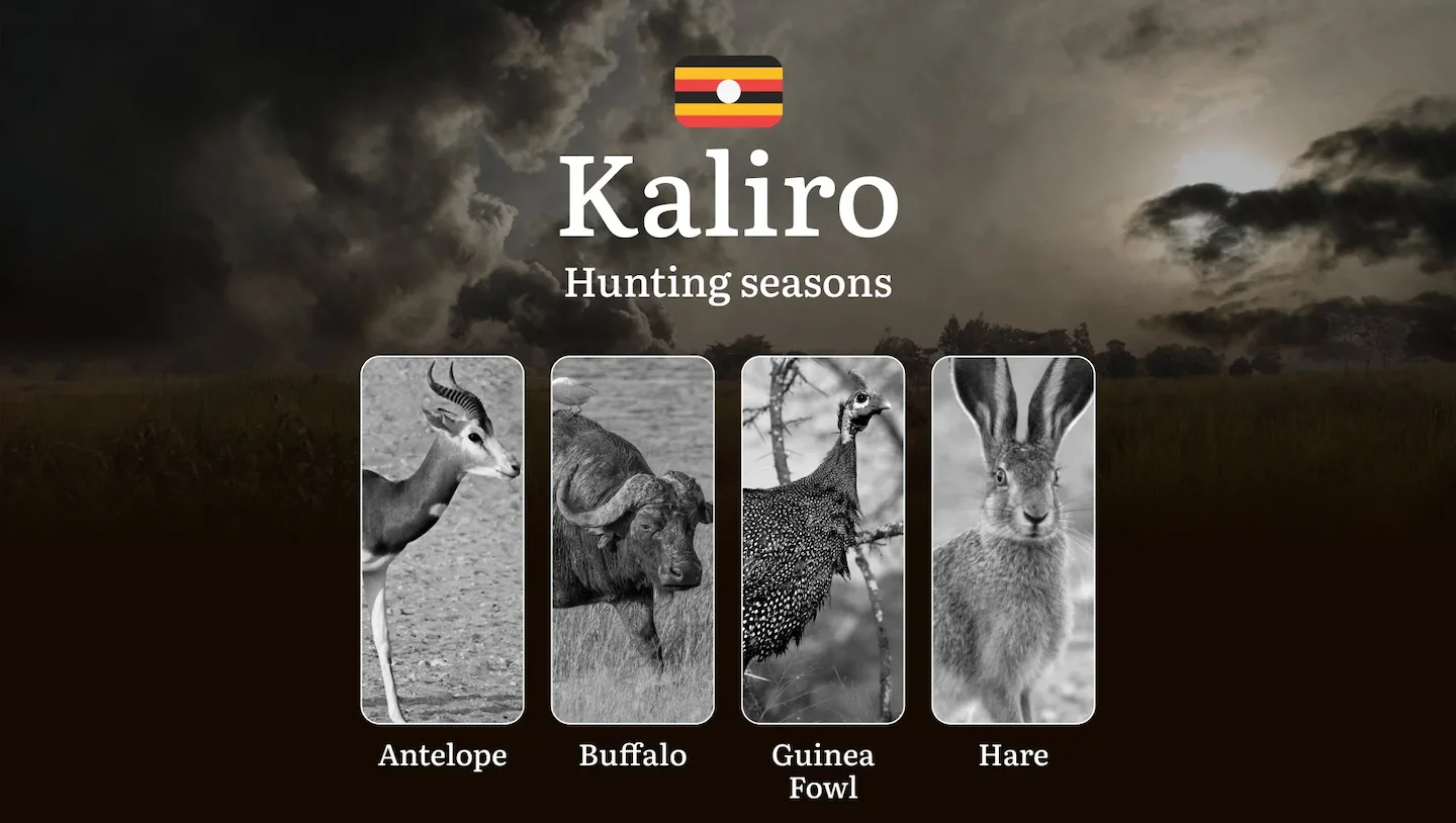 Hunting Season Dates in Kaliro: Regulatory Caps and Seasonal Closures, License Requirements, Penalties and Legal Outcome…