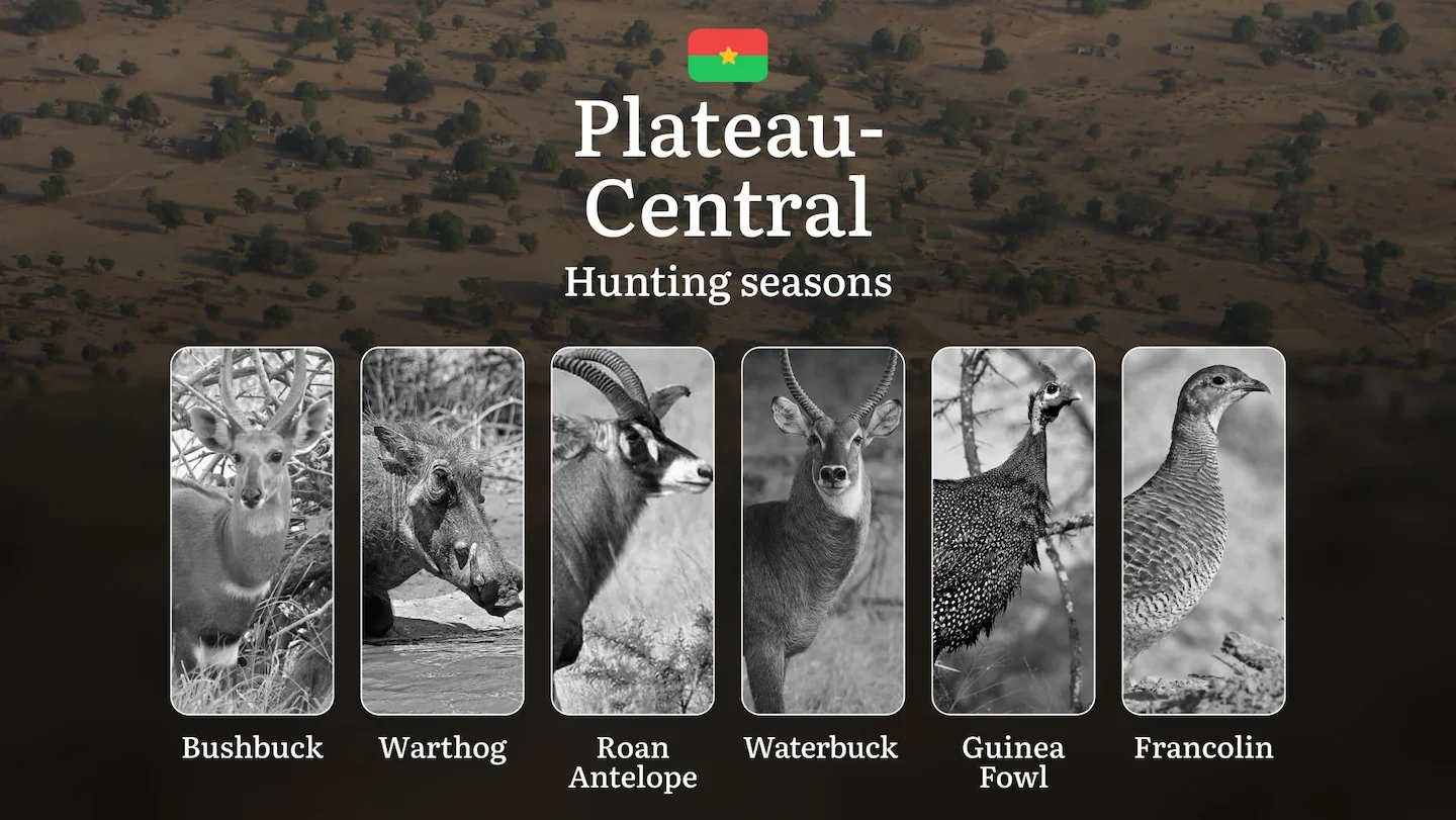 Hunting Seasons in PLATEAU-CENTRAL: Optimal Hunting Periods, General Rules, Protected Species, Required Documents and Pr…