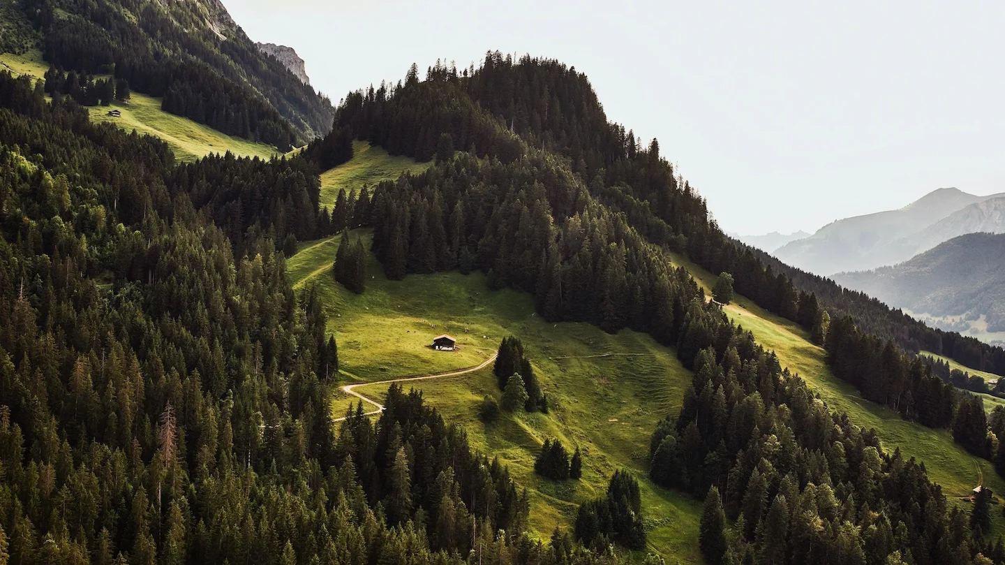 Jagd im Bezirk Plessur (Kanton Graubünden), Schweiz: Merkmale, Jagdstrategien, Wildarten, Schonzeiten, Bevölkerung, Verb…