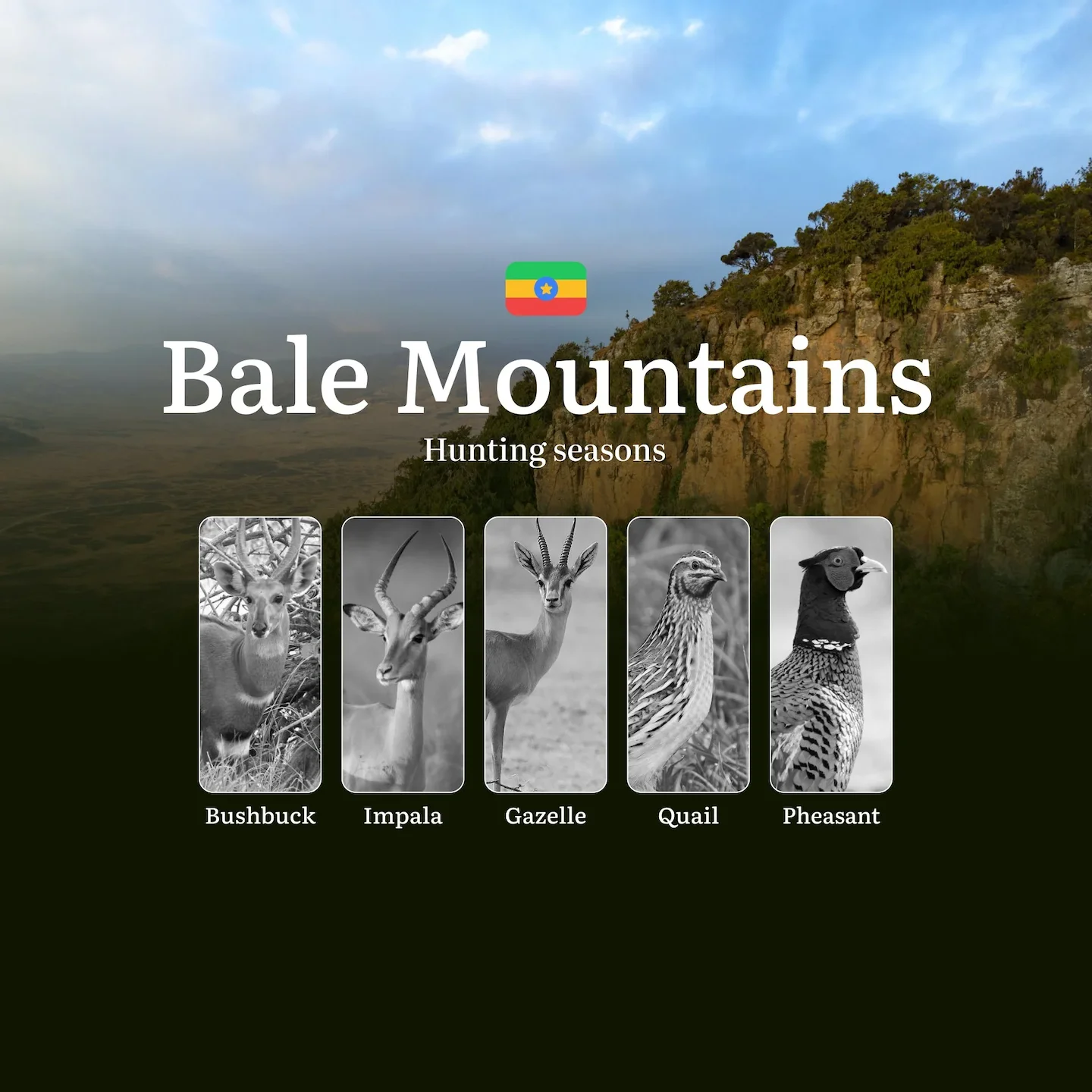 Hunting Dates in Ethiopia's BALE MOUNTAINS: Features of Hunting, Seasons, Opening and Closing Dates, Licenses, Documents…
