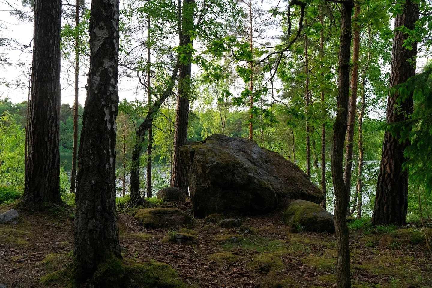 Hunting in the Gothenburg Archipelago, Sweden: A Complete Guide for Hunters on Species, Seasons, and Essential Tips for…