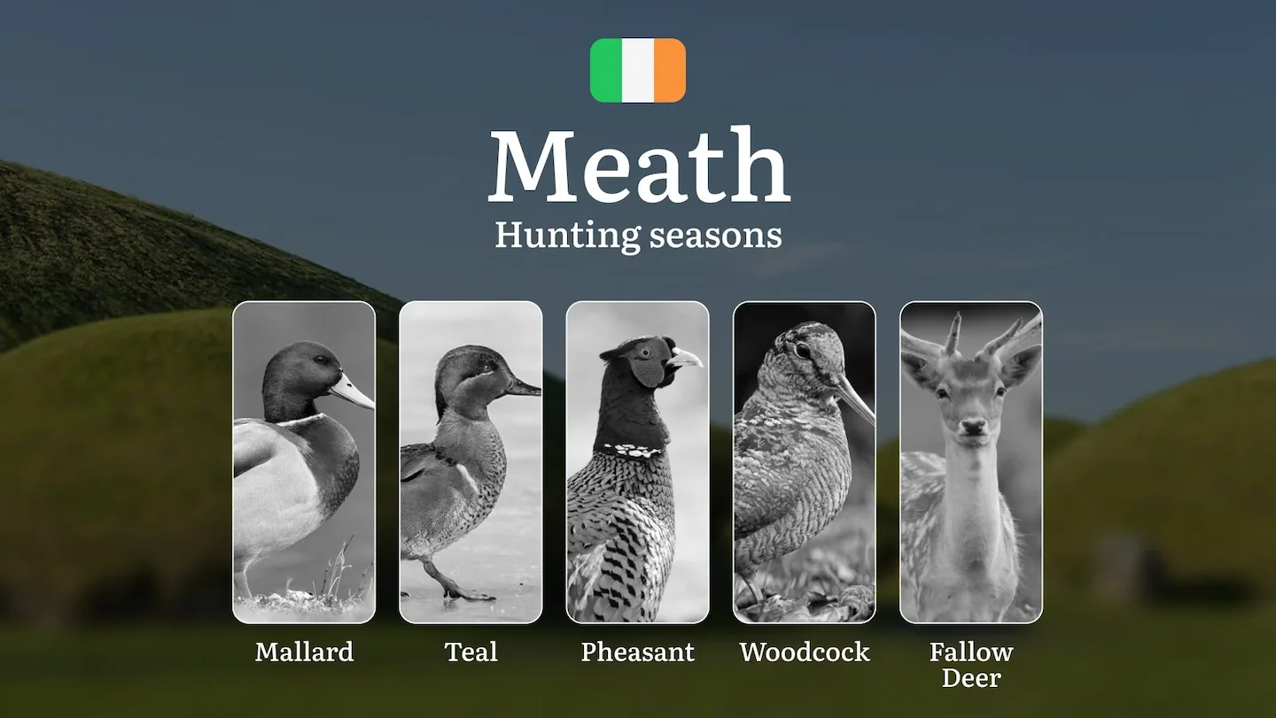 Royal MEATH Hunting Calendar: When the Boyne Valley Awakens - Pheasant, Woodcock and Irish Field Sport