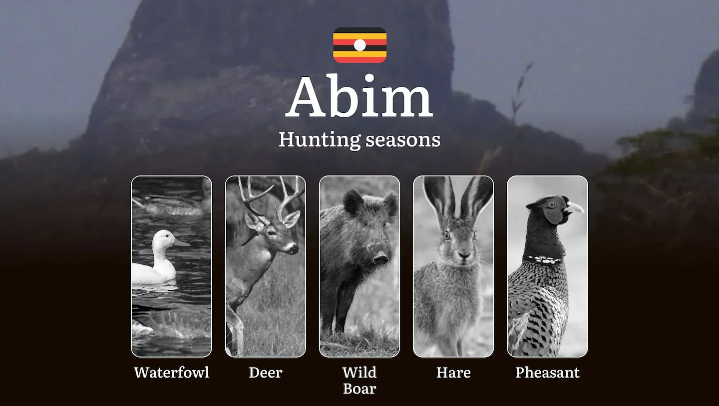 Hunting Access Dates in Abim: Key Hunting Periods for All Species, Restricted Areas, Rules and Exceptions, Getting Your…