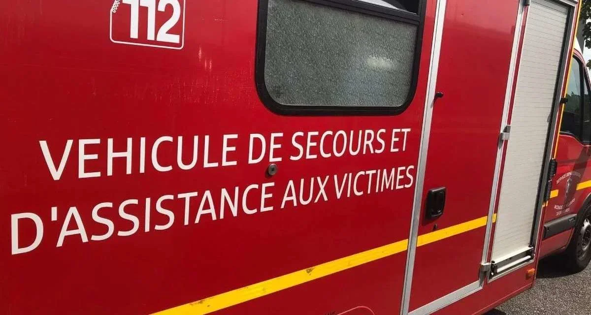 Tarn: un chasseur de 54 ans perd la vie dans un accident de la route, ses huit chiens miraculés