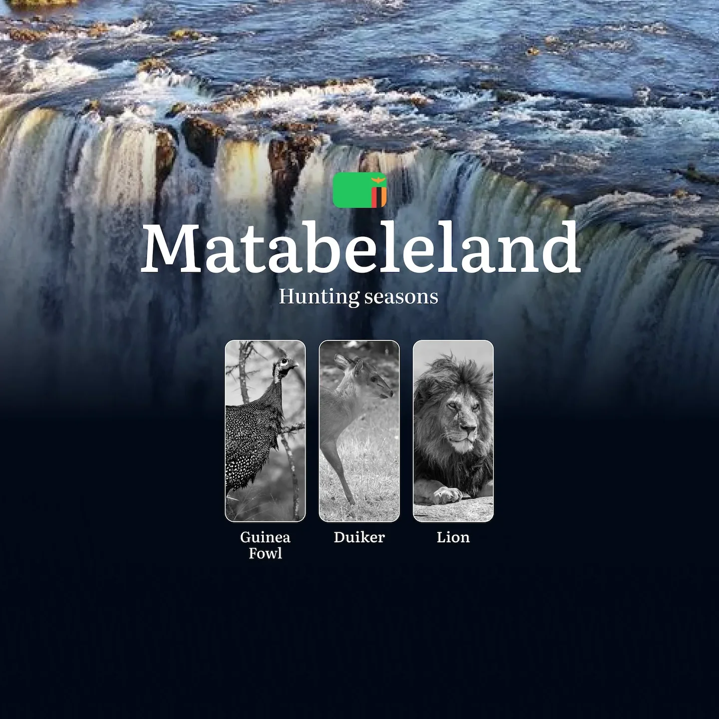 Lion Hunting in Matabeleland, Zambia: Seasons, Regulations, and Prime Times for the Ultimate Trophy Adventure