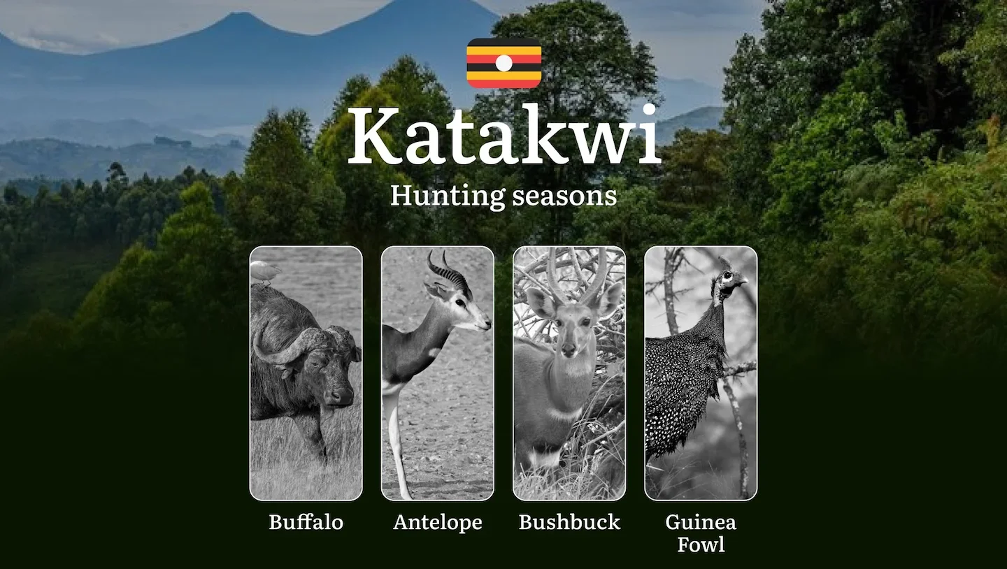 Seasonal Hunting Periods in Katakwi: Limits, Prohibitions, Licensing, Penalties, Preparation, and Gear