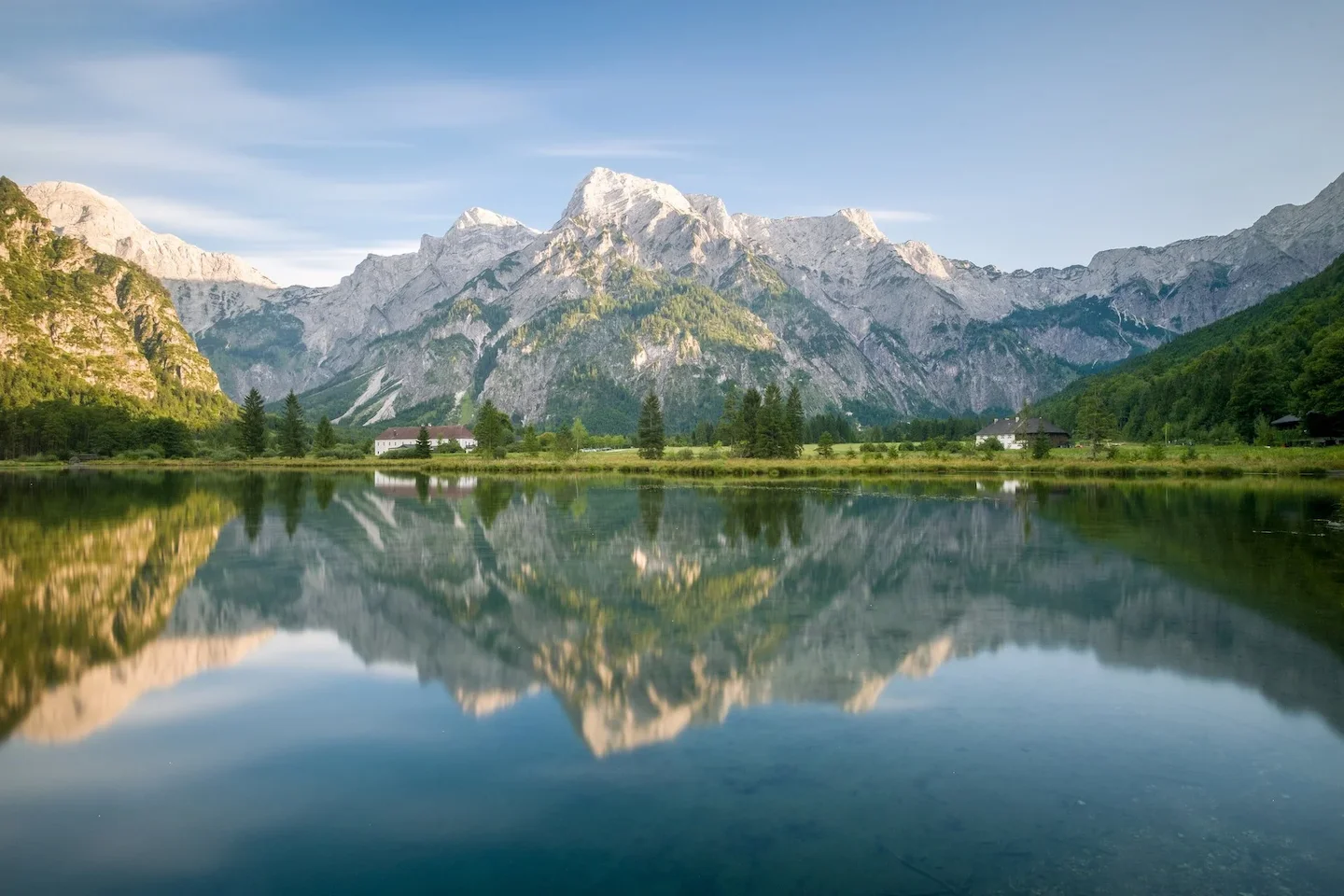 Jagd Österreich Jahresbericht 2026: Wichtige Zahlen & Trends für Jäger