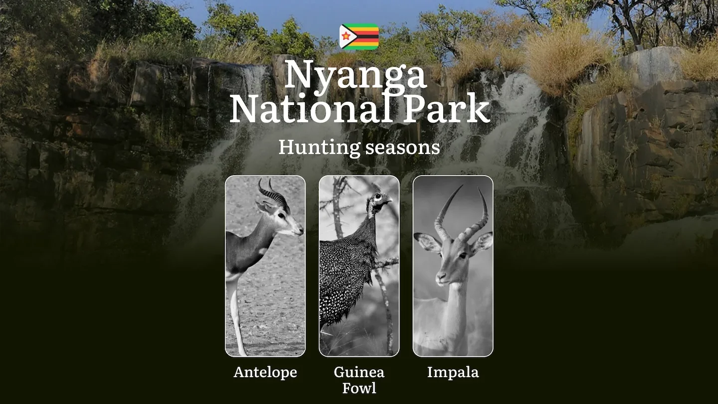 Dates of Hunting in NYANGA NATIONAL PARK, Zimbabwe: Seasons, Licenses, Rules, and Periods, Hunting Permits, Tips for Pla…