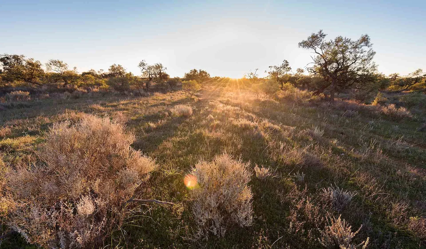 Mallee Region Hunting: Uncovering Interesting Facts About Local Game, Demographics, Legislation System, Associations and…