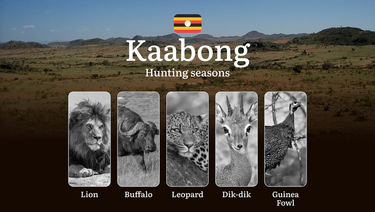 Seasonal Hunting Periods in Kaabong: Limits and Seasonal Prohibitions, Licensing Conditions, Fines and Legal Effects of…
