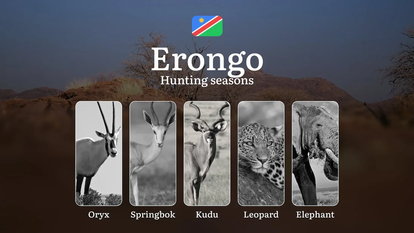 Erongo: Hunting Dates, Species Availability, Seasonal Restrictions, License, Possible Fines, Advice from Hunters, Time P…
