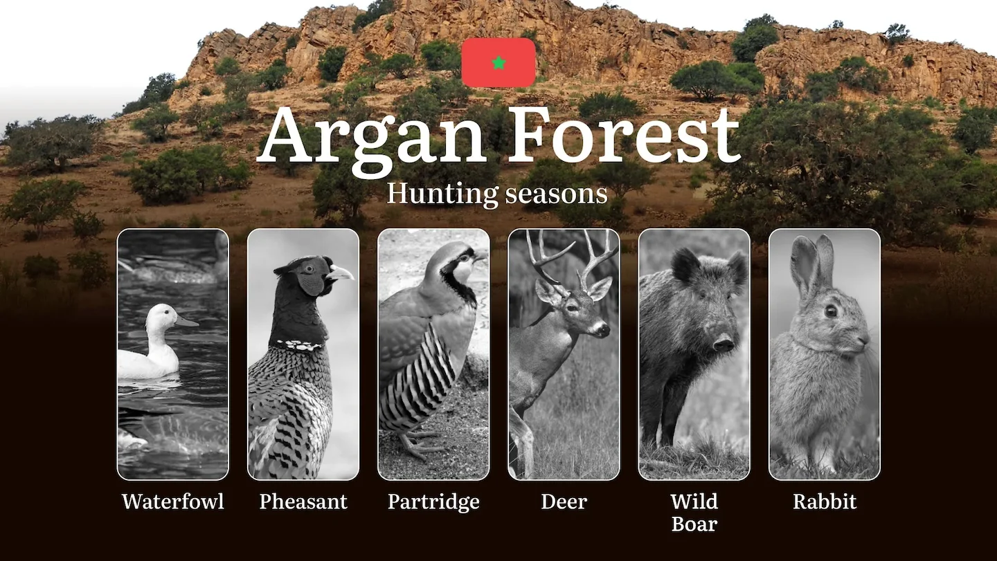 Hunting Dates in Argan Forest: Seasonality of Hunting, Timing and Regulations, Hunting Permits, Restrictions and Prohibi…