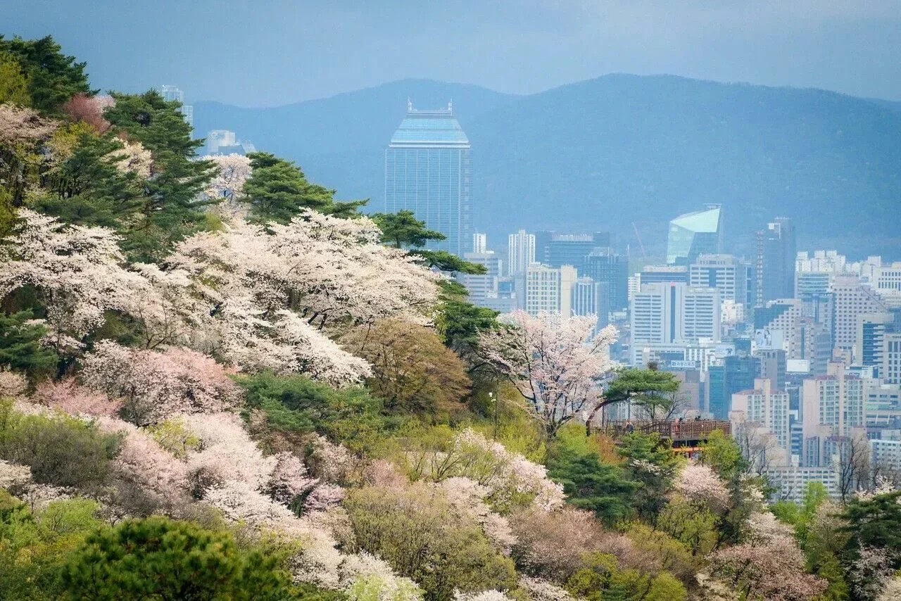 광주광역시의 사냥: 자연, 전통, 그리고 현대의 만남