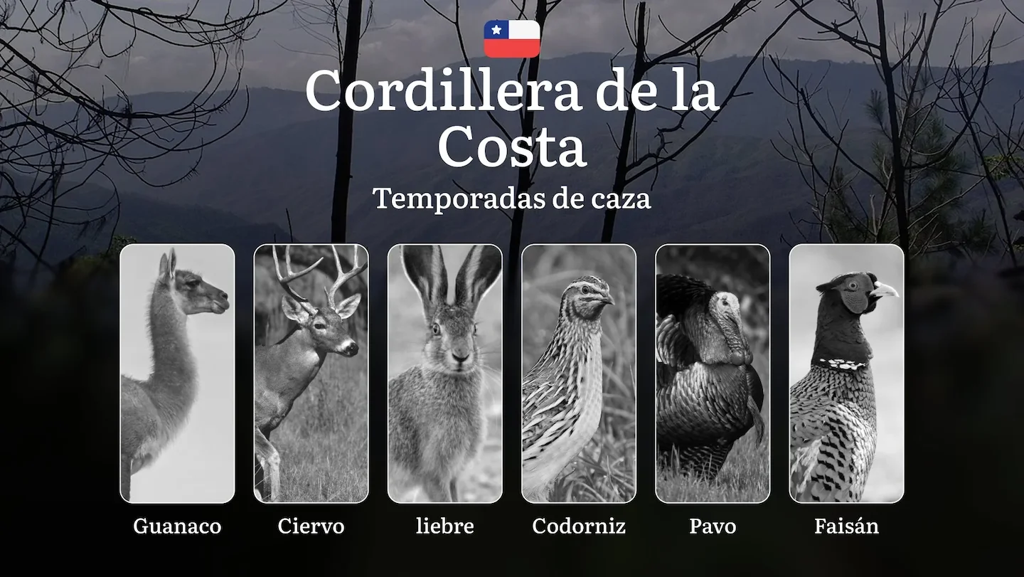 Fechas de caza en Chile, la Cordillera de la Costa: Estacionalidad de la caza,   Prohibiciones y límites,  Multas por in…