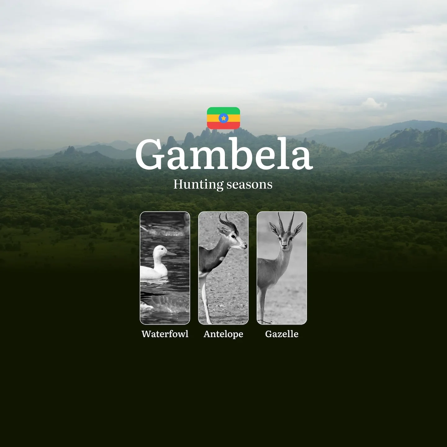 GAMBELA Region, Ethiopia: Hunting Seasons and Timing, Regulations and Licensing, Required Documents and Procedures, Tips…