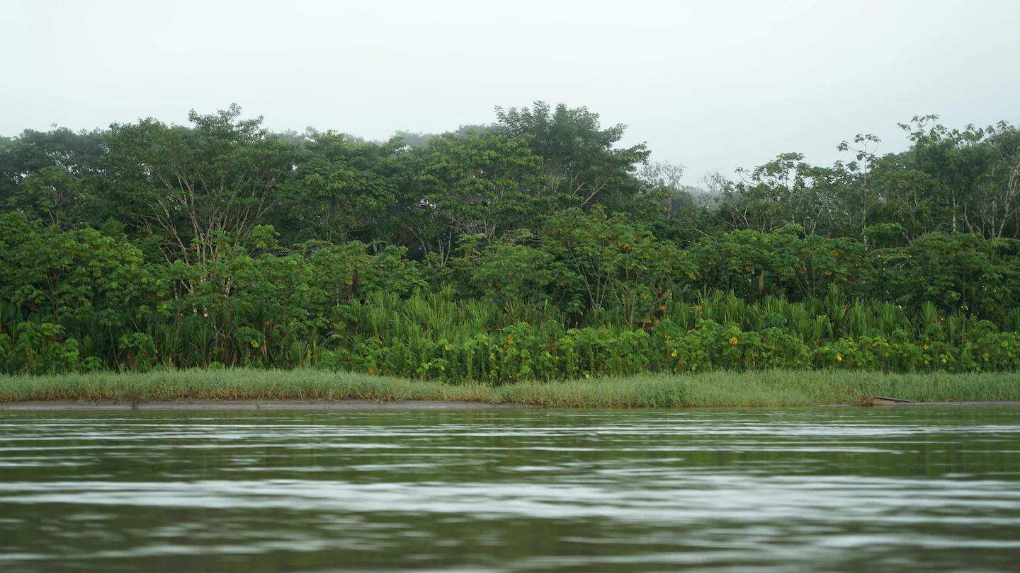 Hunting in the Bié Region of Angola: A Look at Wildlife, Hunting Methods, Traditions, Associations, Interesting Facts an…