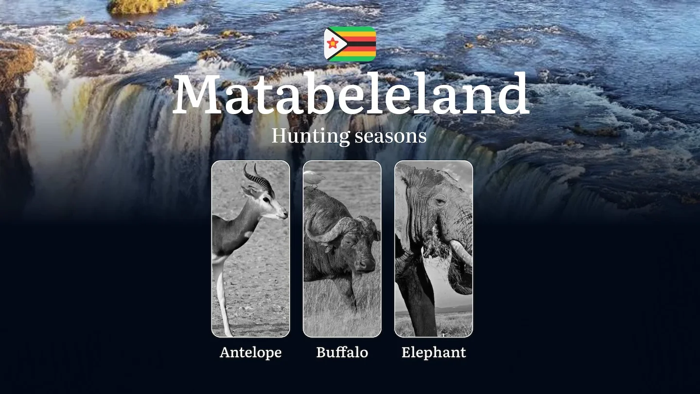 Hunting Seasons in Zimbabwe, MATABELELAND: Seasonal Dates, Hunting Permits, Tips for Hunters, Location, and Tactics, Con…