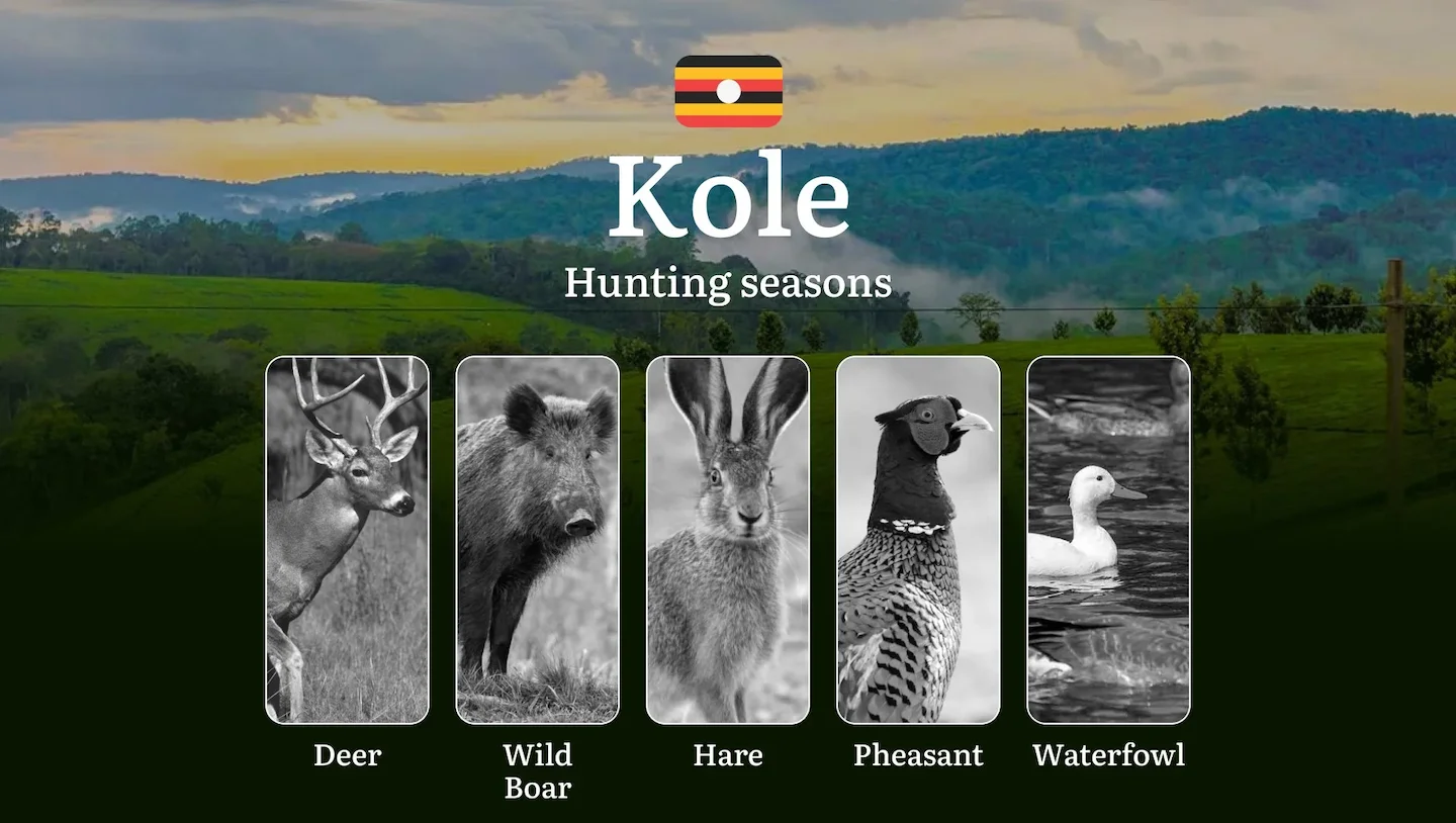 Seasonal Hunting Periods in Kole: Limits and Seasonal Prohibitions, Licensing Conditions, Fines and Legal Effects of Non…
