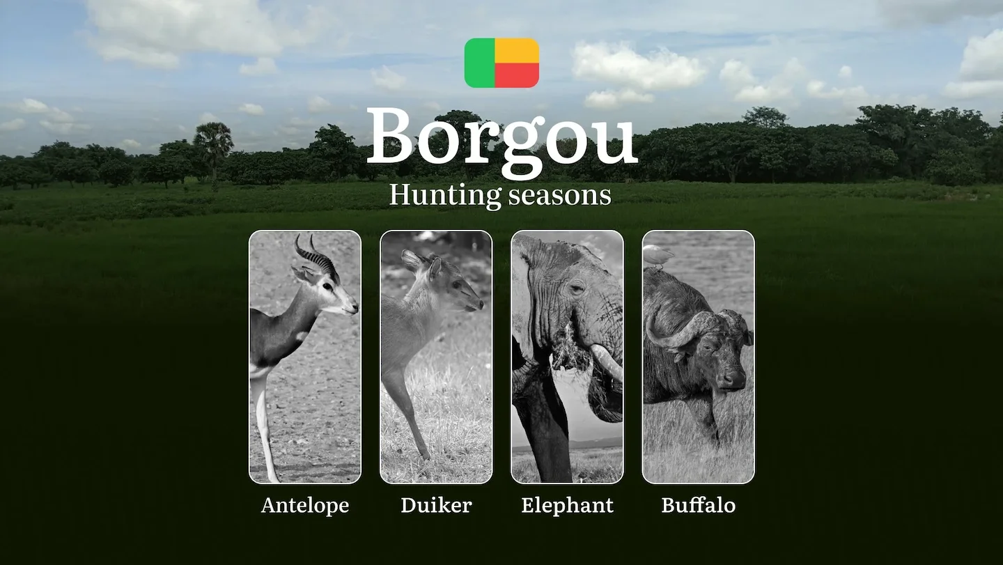 Dates of Hunting in Benin: Time and Seasons, Hunting Regulations, Licenses and Periods in the BORGOU Region, Restriction…