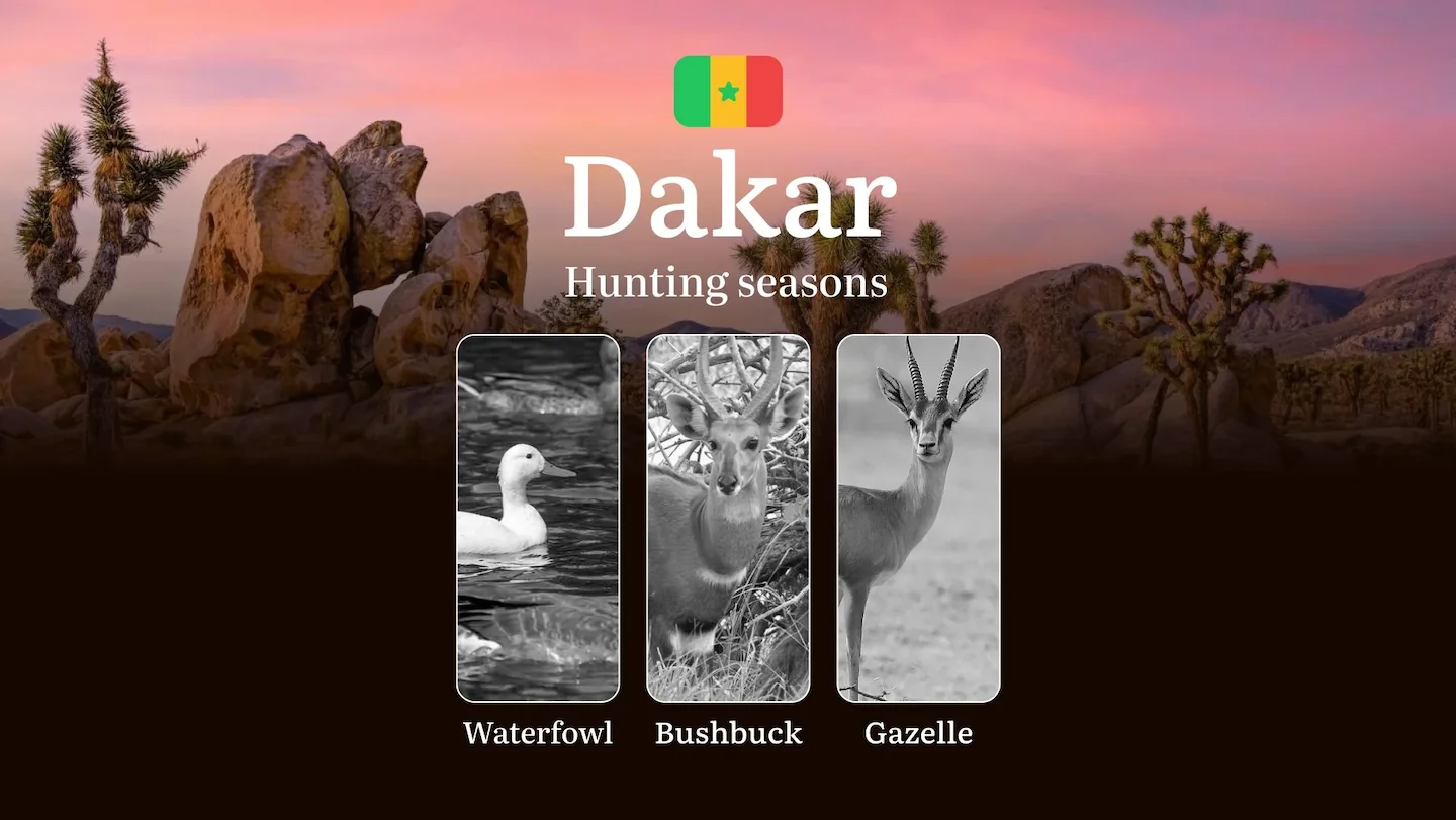 Hunting Seasons in Senegal: Timing and Seasonality of Hunting, Licenses and Rules in the DAKAR Region, Tips and Tactics…