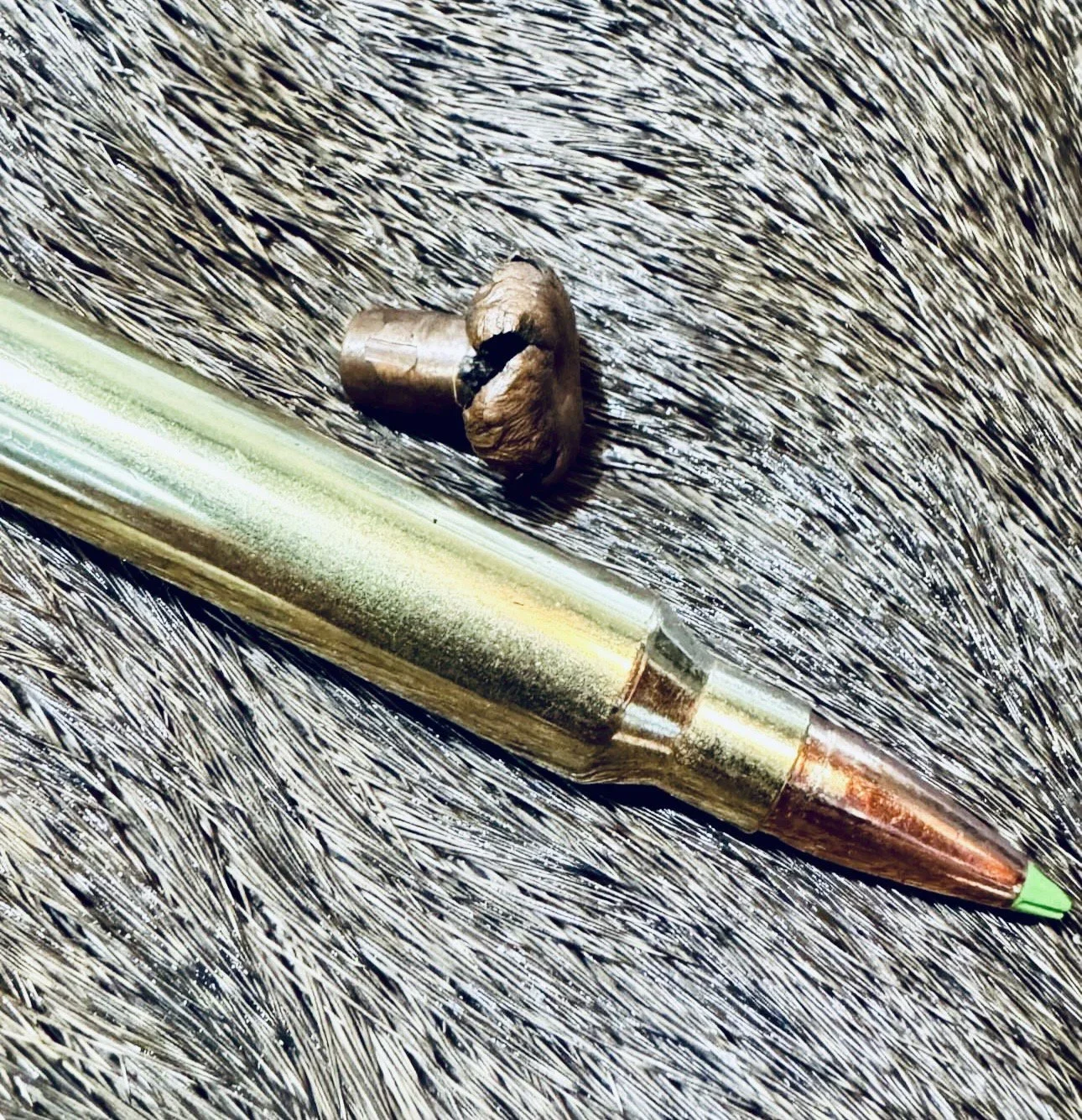 Sako Powerhead Blade Ammunition – Full Review, Ballistics, Calibers, Price and Hunting Use